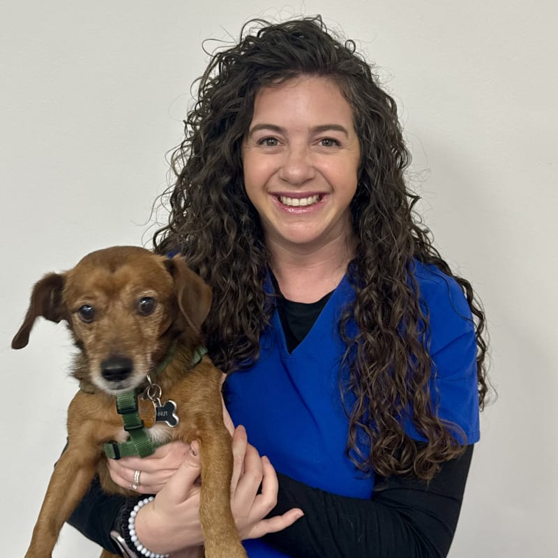 Dr. Lisa Brody, Voorhees Veterinarian, Medical Director