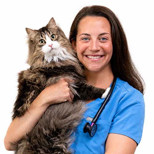 Dr. Emily Katz, Voorhees Veterinarian