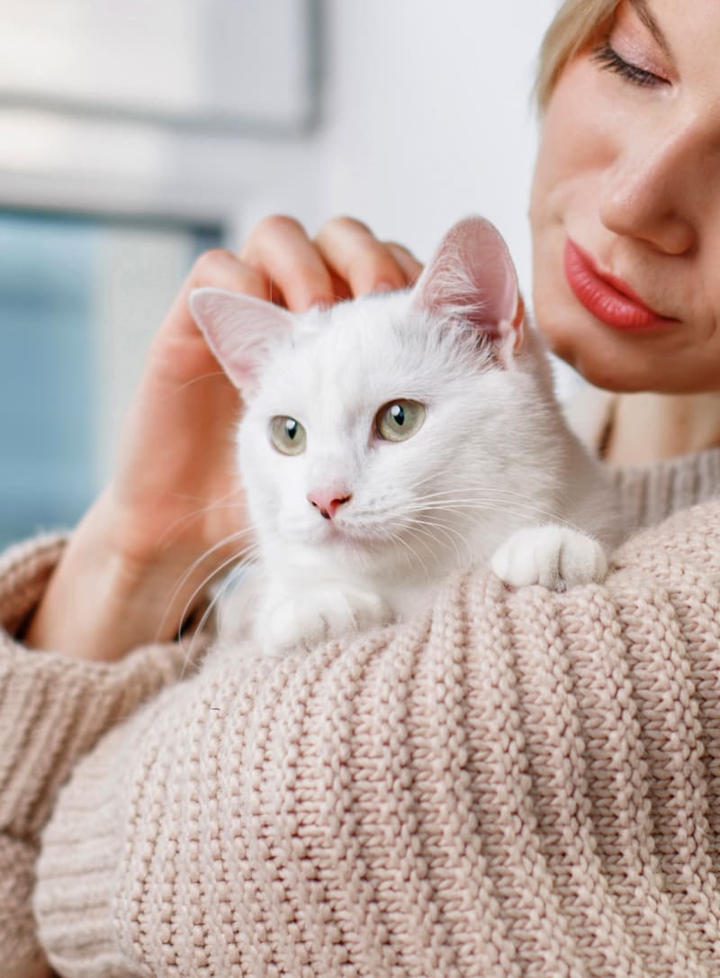 Welcome to Our Animal Hospital